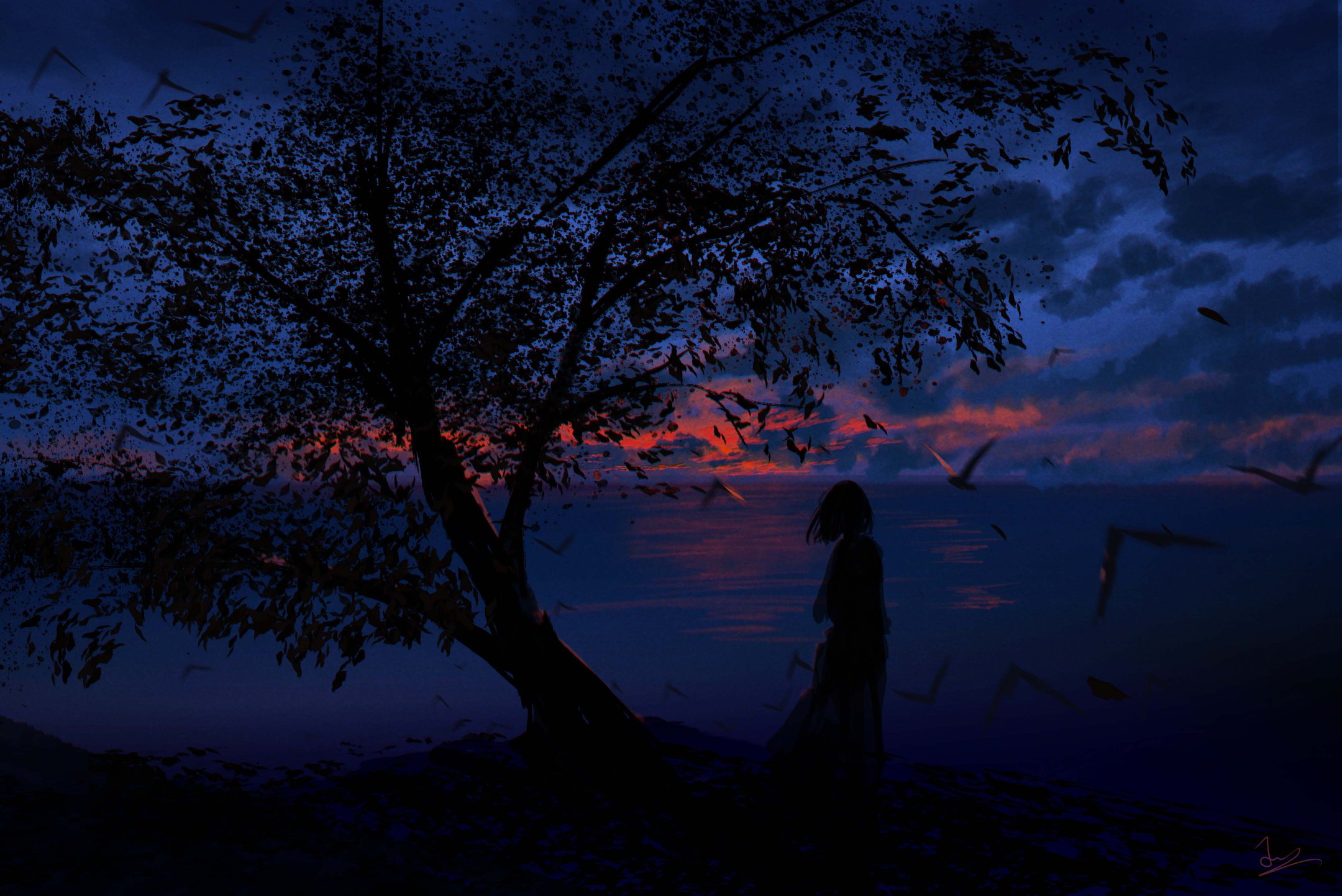 Desktop banner image 6